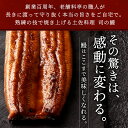 ギフト 三代目 天の鰻 蒲焼き たれ付 プレゼント 国産うなぎ蒲焼 うなぎの蒲焼き 贈答用 かば焼き うなぎ蒲焼 鰻蒲焼 冷凍うなぎ 鰻蒲焼き うなぎ蒲焼き国産 うなぎ通販 ギフトセット 贈り物 食品 男性 女性 絶品 3