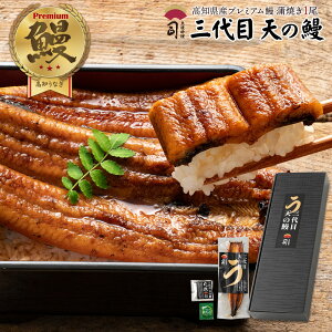 三代目 天の鰻【蒲焼き】 たれ付き 夏ギフト うなぎ 国産うなぎ蒲焼 うなぎの蒲焼き 高知県産 贈答用 鰻 かば焼き 国産 [ ウナギ 土佐 高知 ] 【冷凍便】土用の丑の日 内祝い結婚祝い お祝い プレゼント ギフト 自宅用 【 土佐料理 司 】 お取り寄せグルメ 送料無料