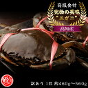 【複数メディアで紹介】訳あり 1匹 約460g〜560g 【大】 高級食材 エガニ えがに 蟹 かに カニ　刺身 海鮮 ハロウィン 七五三 クリスマス サンタ おせち お正月 お歳暮 福袋 忘年会 年末年始 贈り物 ギフト 美容 健康 ビタミン タンパク質 おすすめ