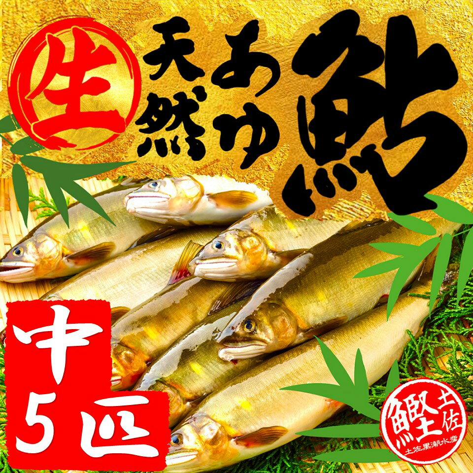【複数メディアで紹介! お一人様2箱まで!!】天然あゆ中(50g〜70g)　5匹入り(約300g)　送料無料　鮎　アユ　本場 高知 土佐 海鮮 産地直送 誕生日 お土産 ギフト プレゼント 贈り物 新鮮 お取り寄せ 敬老 お歳暮 美容 健康 おすすめのサムネイル
