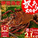 【訳アリでも味は極上】\残りわずか!なくなり次第終了/ 大容量お得用 冷凍 伊勢海老 イセエビ 伊勢えび 高知直送 海鮮 グルメ 刺身 加熱用 ギフト プレゼント お中元 お歳暮 送料無料 土佐黒潮水産