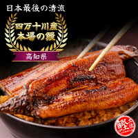 【匹数&グラム数を選べます】 送料無料 四万十 うなぎ - 冷蔵 - 1~3尾 約160~480g ...