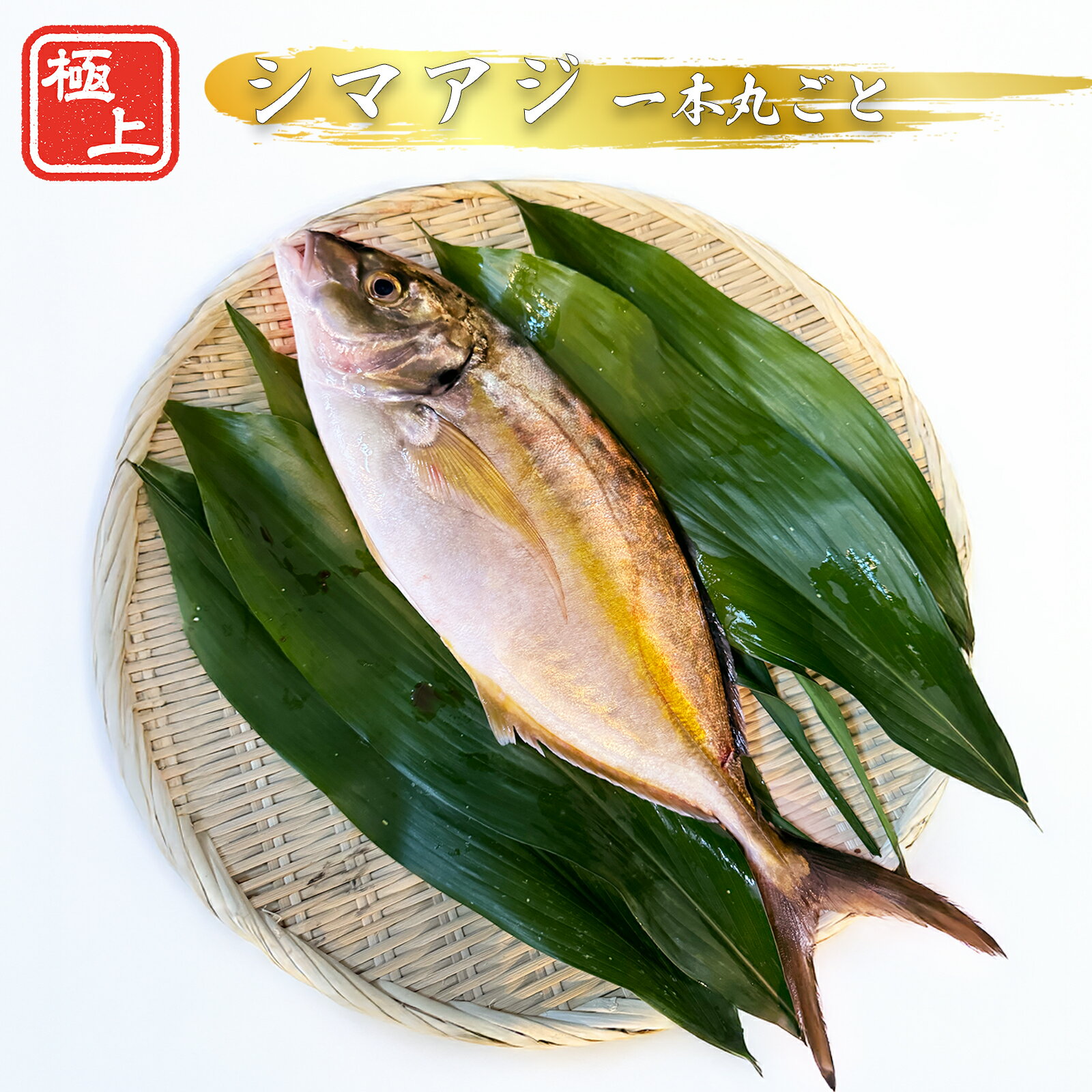 ̵ۥޥ  ݤȡ1.1kg