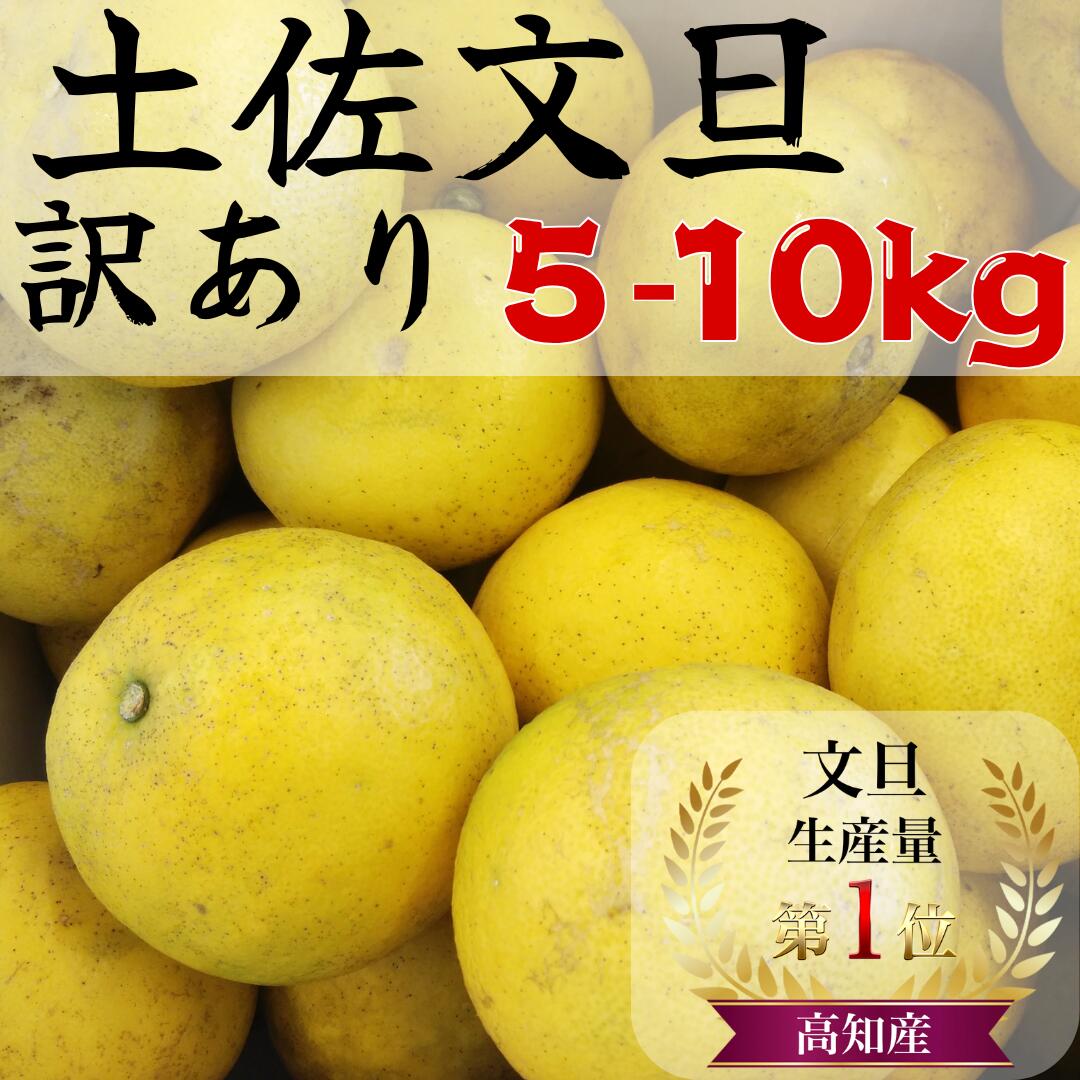 楽天市場】土佐文旦 訳あり 10kg 送料無料の通販 楽天市場】土佐文旦 訳あり 10kg 送料無料の通販