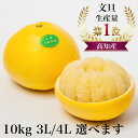 【在庫少/サイズ選択可能/お一人様2箱まで】\\ 送料無料 訳あり 土佐文旦 10kg (3L〜5L)// 土佐 高知 文旦 ぶんたん ブンタン 美容 健康 ビ...
