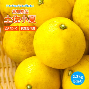 【送料無料】【糖度13度以上】【訳あり】【高知県産】【産地直送】【小夏】土佐小夏 2.3kg