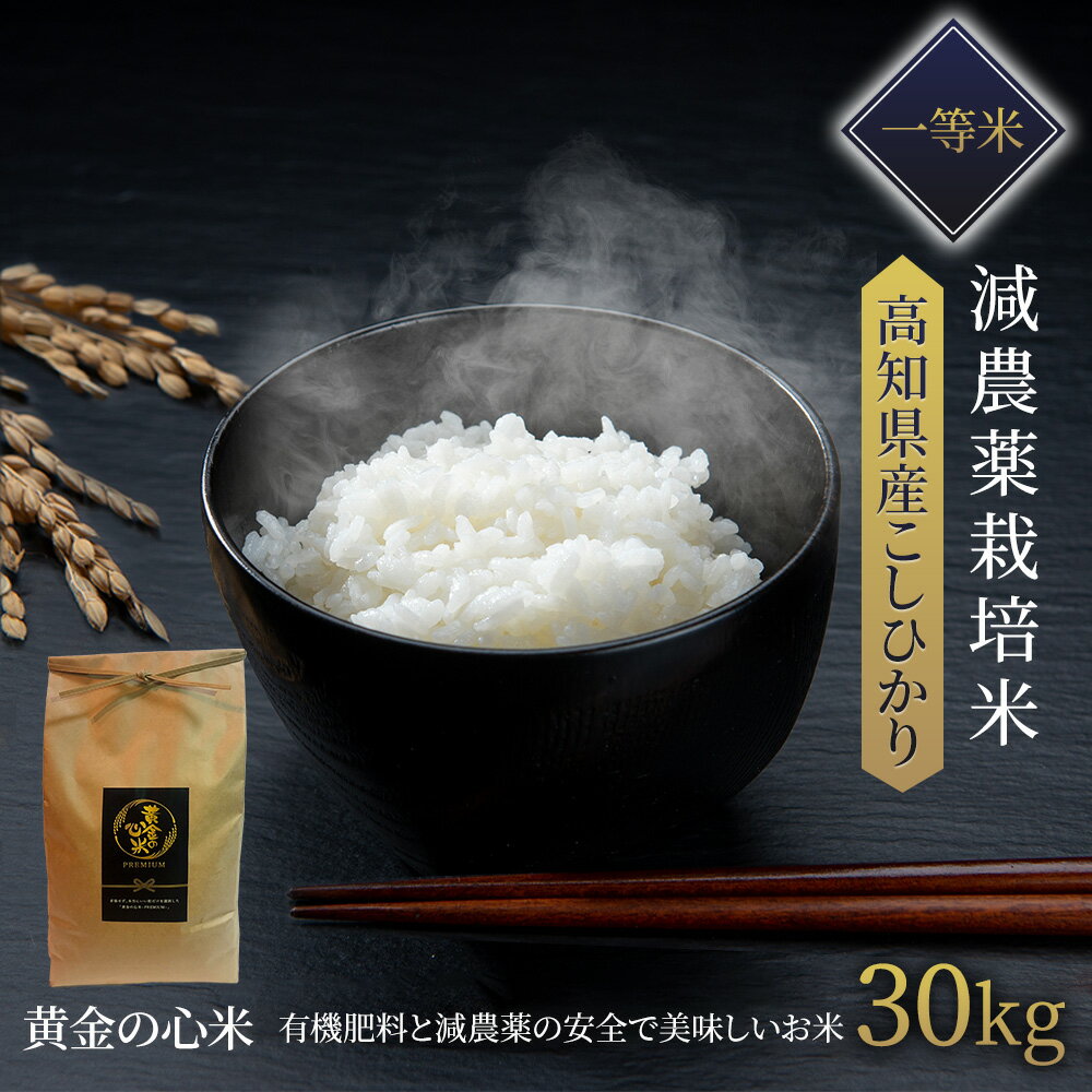 【SALE10%OFF】【即納】【 令和4年産新米 】高知県産 コシヒカリ 減農薬栽...