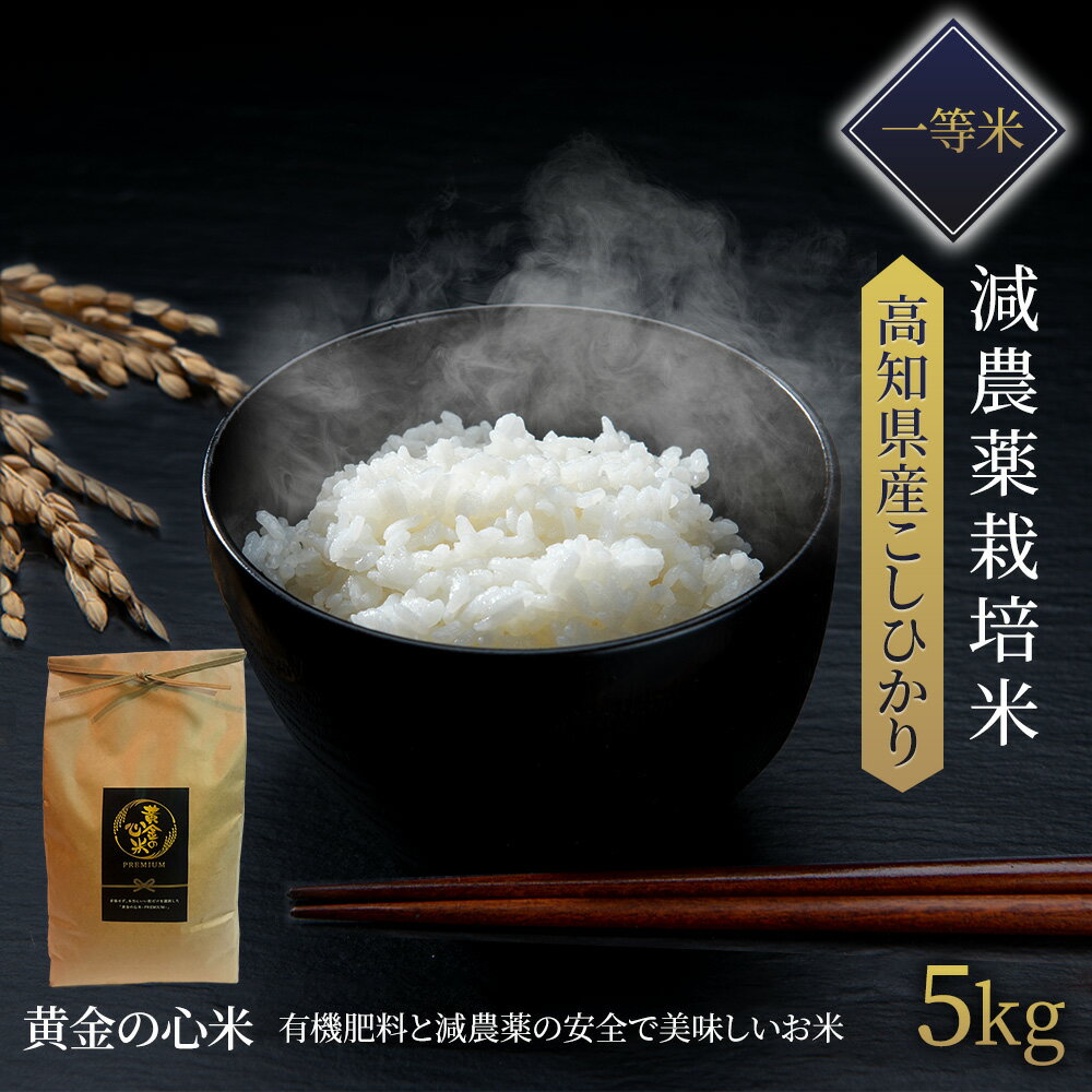 【高知県のお土産】米・雑穀