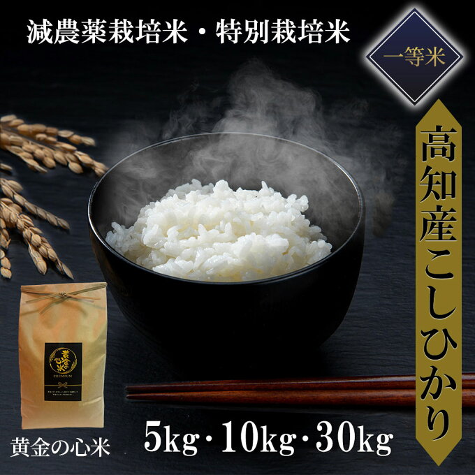 ?即納／【 令和5年新米 】高知県産 コシヒカリ 減農薬栽培米 特別栽培米 5kg 5キロ 10kg 10キロ 30kg 30キロ 減農薬 一等米 有機栽培 白米 玄米 7分づき 5分づき 3分づき お米 米 こしひかり 送料無料 花見 新春 お祝い ギフト