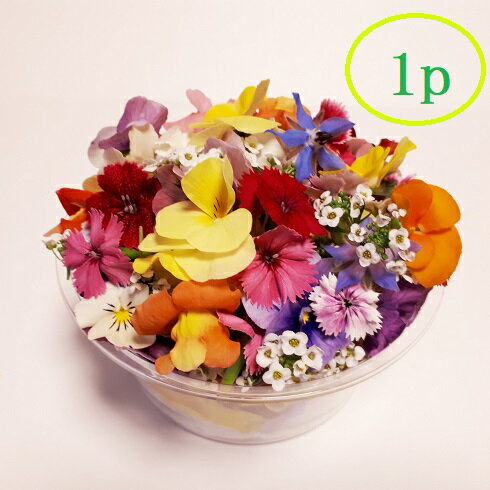 【エディブル・フラワー 1パックセット】【日時指定可】【1パック50-70輪程度】冷蔵保存にて夏季は5日、冬季は一週間程度バレンタインデー とっておきのチョコケーキに お花をマリアージュ