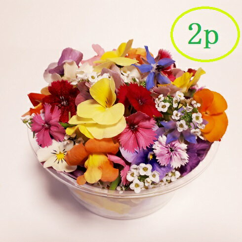 【エディブル・フラワー 2パックセット】【日時指定可】【1パック50-70輪程度】冷蔵保存にて夏季は5日、冬季は一週間程度バレンタインデー とっておきのチョコケーキに お花をマリアージュ
