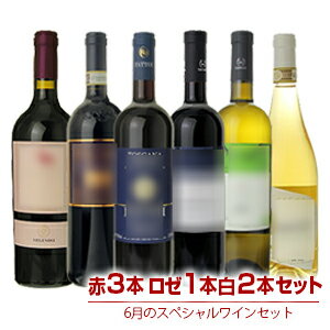 【送料無料】1本あたり2750円！6月のスペシャルワインセット赤4本白2本 (750ml×6)【北海道・沖縄・離島は追加送料がかかります】