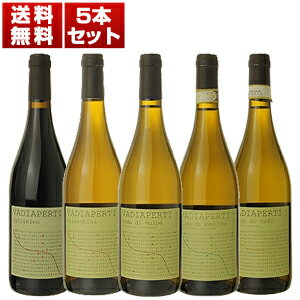 【送料無料】息を飲む鮮烈なミネラルとプロも思わず唸る複雑な旨み!カンパーニャの名手「ヴァディアペルティ」土着品種を堪能する5本セット ワインセット 赤白 (75...