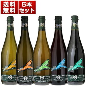 【送料無料】伝統的瓶内二次発酵にこだわる カミッロ ドナーティ 泡 5本セット イタリアワイン エミリア ロマーニャ (750ml×5) 自然派