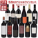 【送料無料】1本あたり1210円!5月のスペシャルワインセット赤12本 赤 イタリアワイン (750ml×12) 福袋 同梱不可