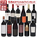 【送料無料】1本あたり1155円！5月のスペシャルワインセット赤12本 赤 イタリアワイン (750ml×12) 福袋 同梱不可