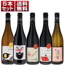 【送料無料】カラブリアの若手自然派「ラーチノ」を満喫する赤白5本セット ワインセット 赤白 (750ml×5) 自然派