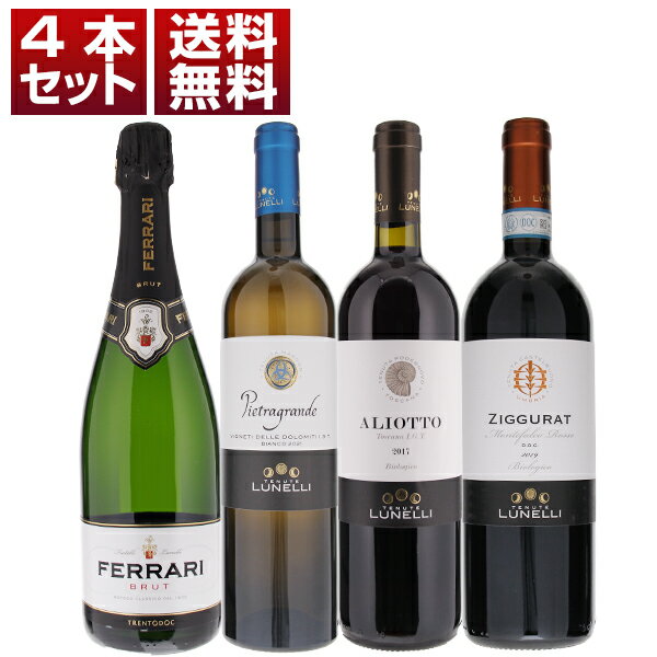 「フェッラーリ」がトレンティーノ、...