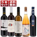 【送料無料】バラエティ豊富 自然派 5本セット 白 オレンジ ロゼ 赤 イタリアワイン (750ml×5)