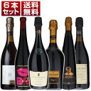 【送料無料】ワインガイドで最高賞を連続受賞!高品質にこだわりぬくワンランク上の上級ランブルスコ6本セット ワインセット 泡 赤ワイン (750ml×6)