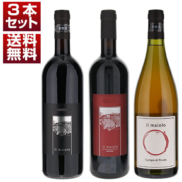 【送料無料】超お値打ち イル マイオーロ 10年以上熟成 2011黒ラベル 2015赤ラベル オレンジワイン 3本セット ワインセット 赤白 (750ml×3) 自然派 イタリア 御中元 暑中見舞い toscana-10129567 トスカニー イタリアワイン専門店 パッケージ画像