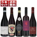 【送料無料】イタリア ピノ ネロ （ピノ ノワール）お手頃 飲み比べ 5本セット 赤 ピノ ネロ イタリアワイン (750ml×5)