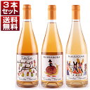 P5倍【送料無料】ロンバルディア 自然派 テヌータ フォルナーチェ SO2無添加、無清澄、 無濾過による飲み心地抜群のオレンジ&微発泡3本セット ワインセット ...