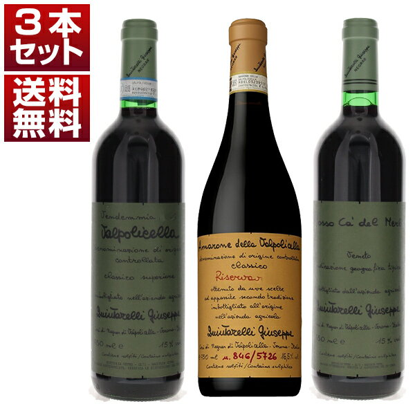 楽天市場】ジュゼッペ クインタレッリ アマローネ 2006の通販