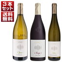 【送料無料】アルト アディジェの協同組合「トラミン」上級ラインを飲み比べ!異なる単一品種を飲み比べる赤白3本セット イタリアワイン トレンティーノ アルト アデ...