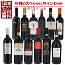 【送料無料】1本あたり1210円!9月のスペシャルワインセット赤12本 ワインセット 赤 赤ワイン イタリアワイン (750ml×12) 福袋 同梱不可