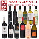 【送料無料】1本あたり1210円!9月のスペシャルワインセット赤6本ロゼ1本白4本泡1本 ワインセット 赤白ロゼ泡 イタリアワイン (750ml×12) 福袋 同梱不可