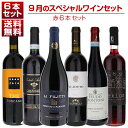 【送料無料】1本あたり2750円!9月のスペシャルワインセット赤6本 ワインセット 赤 赤ワイン イタリアワイン (750ml×6) 福袋