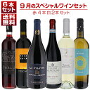 【送料無料】1本あたり2750円!9月のスペシャルワインセット赤4本白2本 ワインセット 赤白 イタリアワイン (750ml×6) 福袋