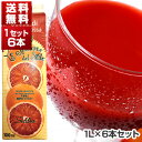 【送料無料】 オルトジェル ブラッドオレンジジュース イタリア シチリア産 1L×6本 冷凍食品