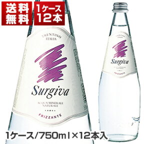 【送料無料】 スルジーヴァ スパークリング 750ml 1ケ-ス (12本入) 同梱不可商品