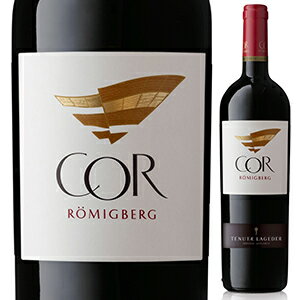 【6本～送料無料】テヌータ ラゲデール コー ルーミグバグ カベルネ ソーヴィニヨン 2019 アロイス ラゲデール 赤ワイン イタリア 750ml カベルネ ソーヴィニョン トレンティーノ アルト アディジェ