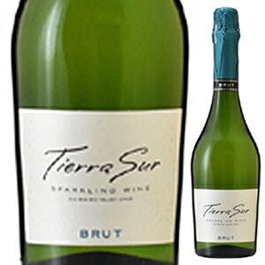 【6本〜送料無料】[9月9日(金)以降発送予定]サンタ アリシア ティエラ スール スパークリングワイン ブリュット NV 750ml [発泡白]Tierra Sur Sparkring Wine Brut Santa Alicia