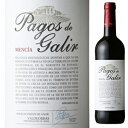 【6本〜送料無料】ボデガス ビルシェ デ ガリル パゴス デ ガリア メンシア 2020 赤ワイン メンシア スペイン 750ml