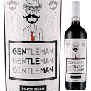 【6本〜送料無料】ジェントルマン ピノ ネロ 2016 フェロ13 750ml [赤]Gentleman Pinot Nero Ferro13