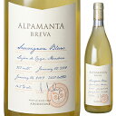 Alpamanta Breva Sauvignon Blanc Alpamanta Estate Winesアルパマンタ エステイト ワインズ （詳細はこちら）アルゼンチン産オレンジワイン。天然酵母で醗酵したワインを12カ月新樽で熟成。ノンフィルターでボトリングされる白ワイン。独特のアロマと風味を持つナチュラルワインです。 やさしく圧搾し、房ごと72時間低温で漬け込みます。新樽発酵。認証：Demeter（ビオディナミ）、Argencert（ビオロジック）750mlソーヴィニョン ブランアルゼンチン・メンドーサ・ルハン・デ・クージョメンドーサ白他モールと在庫を共有しているため、在庫更新のタイミングにより、在庫切れの場合やむをえずキャンセルさせていただく場合もございますのでご了承ください。株式会社　モトックス