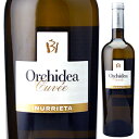 【6本～送料無料】ボデガ イヌリエータ オルキデア キュヴェ 2020 白ワイン ソーヴィニョン ブラン スペイン 750ml