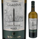 フェデリーチ ディ ジューリオ フェデリーチ グラディウス コッリ ディ ルーニ ビアンコ 2020 白ワイン イタリア 750ml