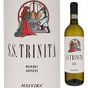 イタリアワイン 【6本～送料無料】マルヴィラ ロエロ アルネイス トリニタ 2020 白ワイン アルネイス イタリア 750ml