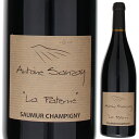 Saumur Champigny "La Paterne" Antoine Sanzayアントワンヌ サンゼイ （詳細はこちら） ソーミュール・シャンピニーの収量も45hl/haとかなり低め。シャセ、ヴァラン、シル・エン・ブールの各村の葡萄を使用。粘土石灰、砂質と色々な条件の畑のアッサンブラージュで若いうちから楽しめるようセメントタックのみで熟成させている。50％全房発酵。この価格では信じられないくらいの凝縮度と滑らかさを持っているのは葡萄の質の高さを証明している。750mlカベルネ フランフランス・ロワールソミュール シャンピニィAOC赤他モールと在庫を共有しているため、在庫更新のタイミングにより、在庫切れの場合やむをえずキャンセルさせていただく場合もございますのでご了承ください。テラヴェール株式会社