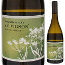 North Canterbury Sauvignon Plus Pyramid Valley Vineyardsピラミッド ヴァレー ヴィンヤーズ （詳細はこちら）ソーヴィニヨン・ブランに7％のリースリングをブレンドしています。ノース・カン...