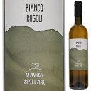イタリアワイン 【6本～送料無料】ダヴィデ スピッラレ ビアンコ ルーゴリ 2020 白ワイン ガルガーネガ イタリア 750ml 自然派