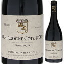 【6本〜送料無料】ブルゴーニュ コート ドール ピノ ノワール 2022 ドメーヌ ファビアン コシュ 赤ワイン フランス 750ml