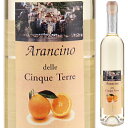 Arancino Possaポッサ （詳細はこちら）オレンジのリキュール500mlボスコ、アルバローラ、ヴェルメンティーノ、ハチミツ入りイタリア・リグーリアリキュール自然派●自然派ワインについてこのワインは「できるだけ手を加えずに自然なまま」に造られているため、一般的なワインではあまり見られない色合いや澱、独特の香りや味わい、またボトルによっても違いがある場合があります。ワインの個性としてお楽しみください。●クール便をおすすめします※温度変化に弱いため、気温の高い時期は【クール便】をおすすめいたします。【クール便】をご希望の場合は、注文時の配送方法の欄で、必ず【クール便】に変更してください。他モールと在庫を共有しているため、在庫更新のタイミングにより、在庫切れの場合やむをえずキャンセルさせていただく場合もございますのでご了承ください。株式会社ヴィナイオータ