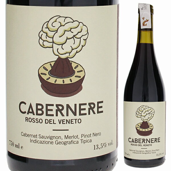 [クール便] 【6本〜送料無料】イル モラリッザトーレ カベルネーレ 2017 赤ワイン イタリア 750ml 自然派のサムネイル