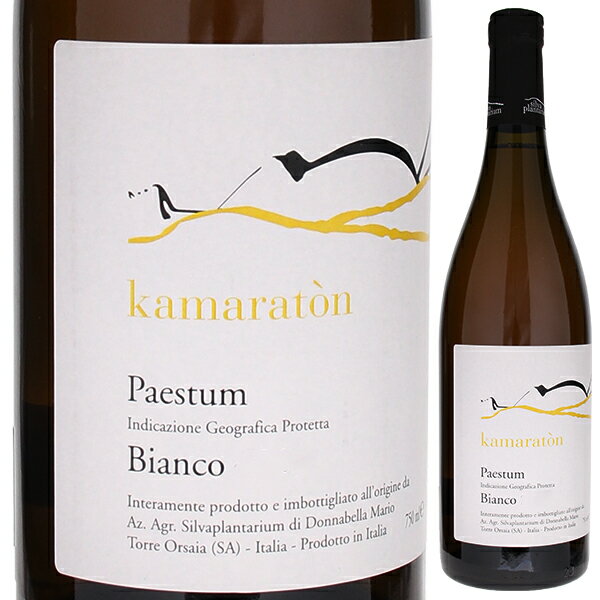 【6本～送料無料】シルヴァ プランタリウム カマラトン パエストゥム ビアンコ 2020 白ワイン オレンジワイン イタリア 750ml 自然派